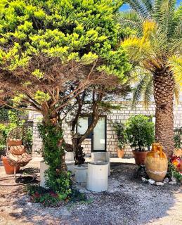 Le due palme Bed & Breakfast - Sirolo - 9