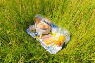 Bed & Breakfast Bos en Weide - 8