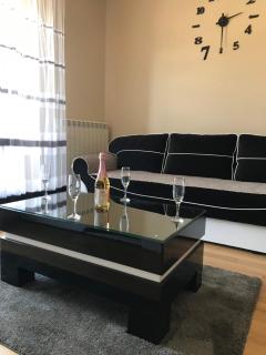 Apartman Dragisic Kalman J15,D8 - Zlatibor - 1
