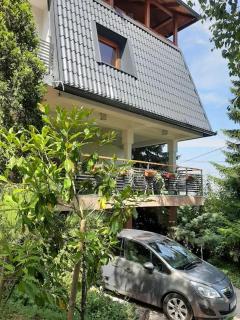 Guesthouse Hill - Sarajevo - 7