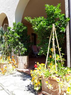 Villa Emma i lecci - Quiesa - 5