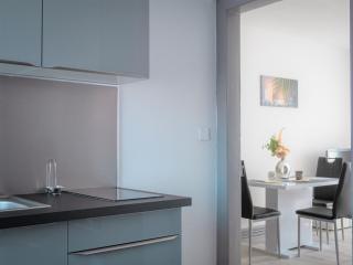 Comfort Stay Basel Airport 1B46 - 6