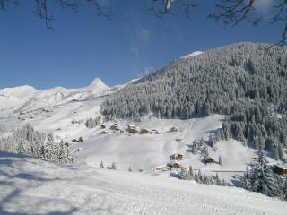 Ferienwohnungen Abel - Damuls - 8
