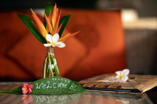 United Colors of Bali - Canggu - 4