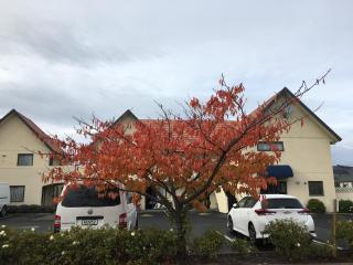 Bella Vista Motel Mosgiel - 7