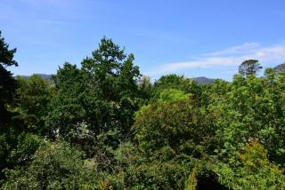 Cloudsong Chalet 3 Close to the village centre - Kangaroo Valley - 5