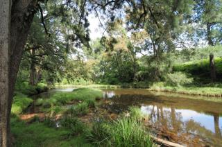 Love Shack 1 bedroom cosy cottage - Upper Kangaroo River - 1