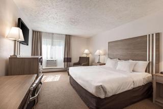 Quality Inn Petoskey-Harbor Springs - 4