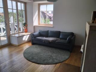 9 min from Palanga! luxury house on the river and sauna - 8