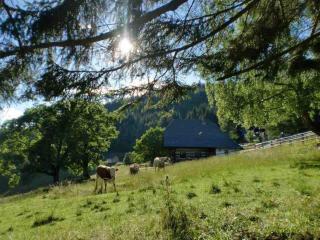 Tschetsch Hütte - Liebenfels - 0