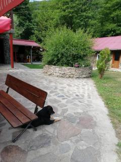 PENSIUNEA LA BUSU -BIGAR - Bozovici - 4