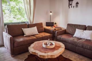 Hinterzarten Freiburgerstraße by Kuckucksnester - Hinterzarten - 1