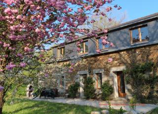 Rose cottage - Pontrieux - 0