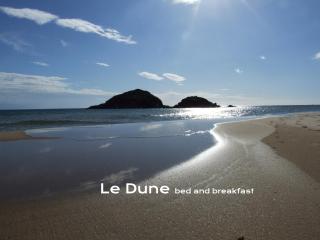Le Dune Bed & Breakfast - 1
