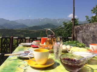 Ana-Maria Bnb - Tatʼev - 4