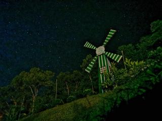 Green Peace Sungai Lembing - Sungai Lembing - 6