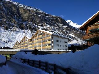 Haus Viktoria C - Zermatt - 0