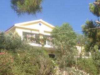 Seapine Studios - Lassi - 1