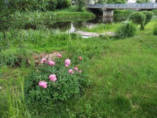 River Side Studio, 9mi from Palanga, With sauna - Kretinga - 6