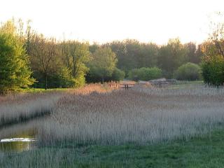 Swaenenburgh - Vlissingen - 6