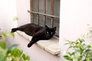 Al Guado di Assisi B&B - 7