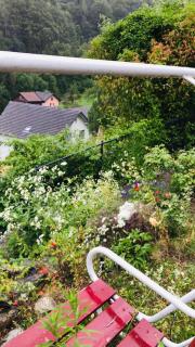 Alpen Panorama view Luxury House with green Garden - Buchs - 5