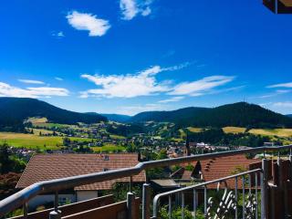 Goldener Hahn Residence - Baiersbronn - 9
