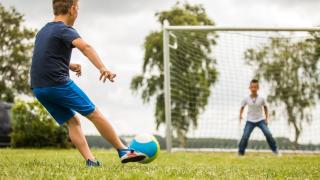 TopParken – Park Westerkogge - Berkhout - 7