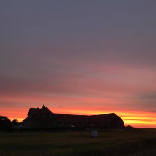 Bjerrumgaard bed and breakfast - Ribe - 7