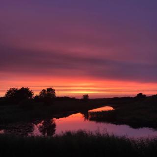 Bjerrumgaard bed and breakfast - Ribe - 8