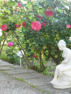 Villa Rauter - Seeboden - 9