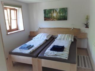 BodenSEE Apartment Neukirch Wangener Strasse - Neukirch - 1
