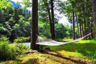 Rustic River Paradise - 1 Bed 2 Bath Vacation home in Baring - Baring - 6