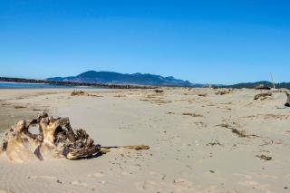 Tidal Links - 4 Bed 3 Bath Vacation home in Bandon Dunes - 1