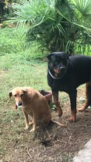 Residence Mariele - 5