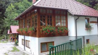 Vila Kosca - apartments for rent - 8