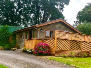 Swansea Log Cabin - 1