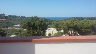 Melograno - Vieste - 6