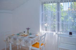 Apartmani Mirko A1 - Molat - 9