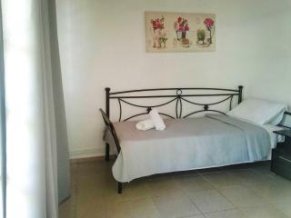 Hidden garden Deluxe - Skiathos - 5