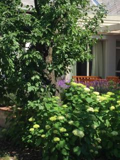 Gete Vendégház - 8