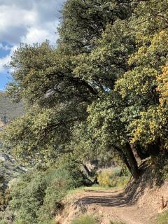 El Huerto de Lobras - 9