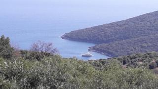 Sunny Sea Apartments - Parga - 0