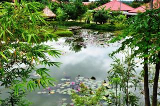 Memoria Palace & Resort - Pailin - 6