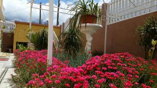 Otroiza Hotel - Cilaos - 7