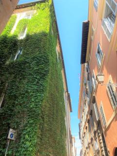 Residenza Domizia - Roma - 7