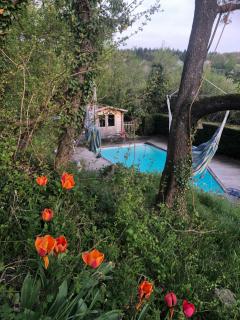 Loft "Home, Sauna & Pool" - Osenbach - 4