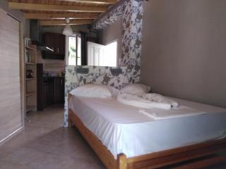 Potamaki Studios & Apartments - 9