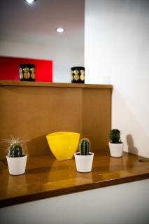 Appartement Denim - Nîmes - 8