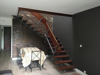 Charmant duplex aux portes de Paris - 1